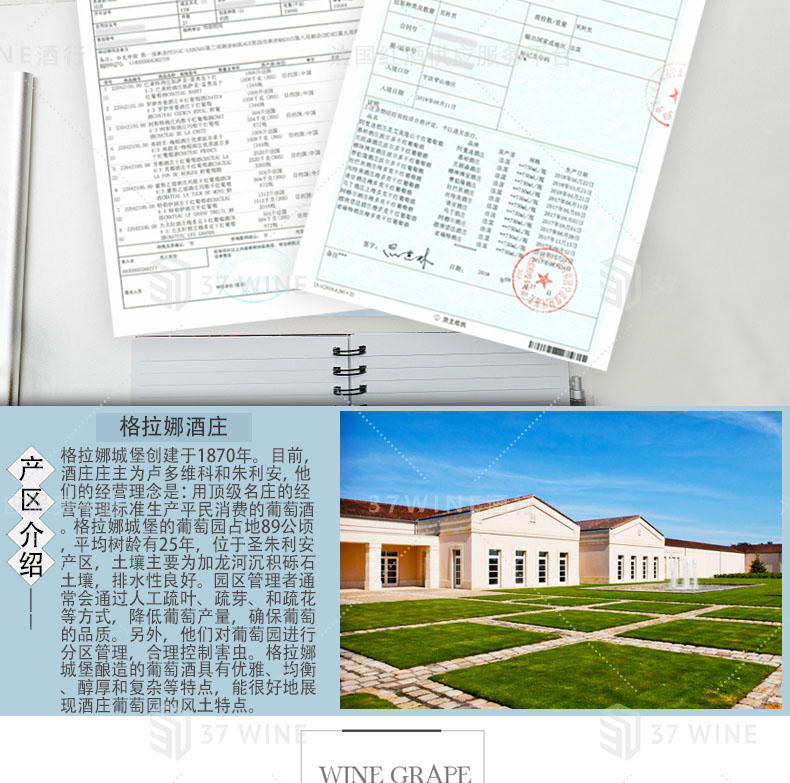 VP3134-15切片1_07.jpg