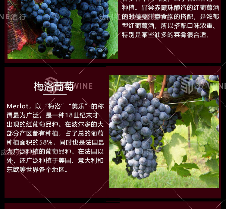 3411-14详情页切片1_05.jpg