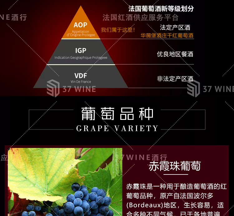 3411-14详情页切片1_04.jpg