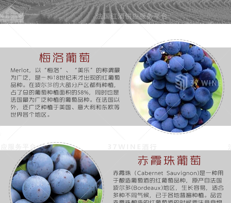 VP3537-15详情页切片1_05.jpg