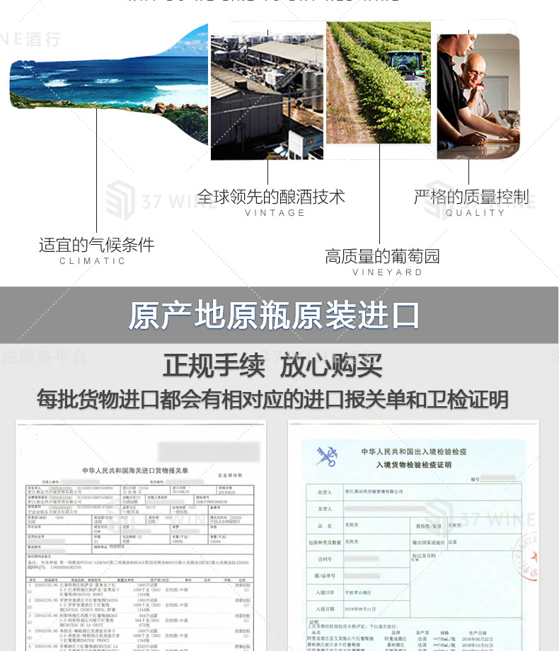 VP3039-13切片_03.jpg