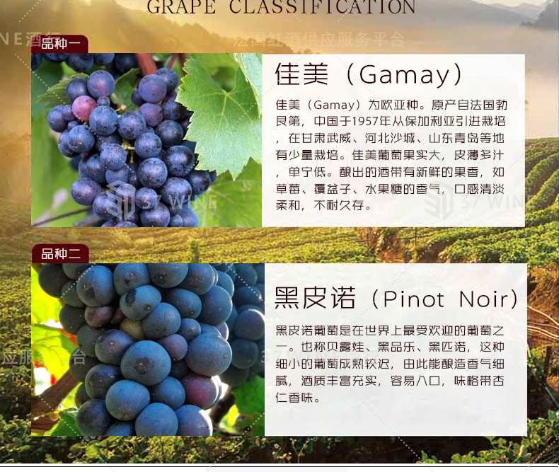 3625-17详情页切片1_04.jpg