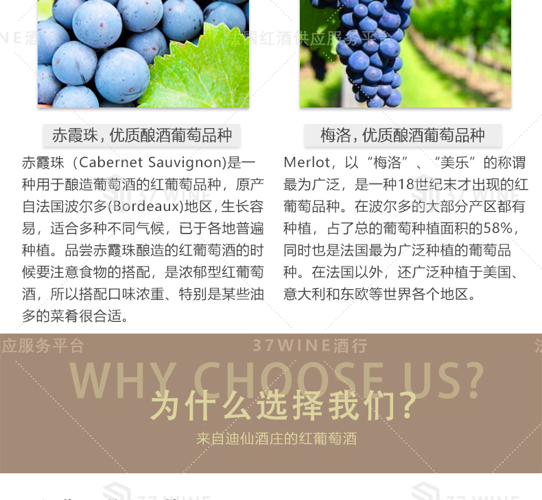 VP3081-13详情页1_06.jpg