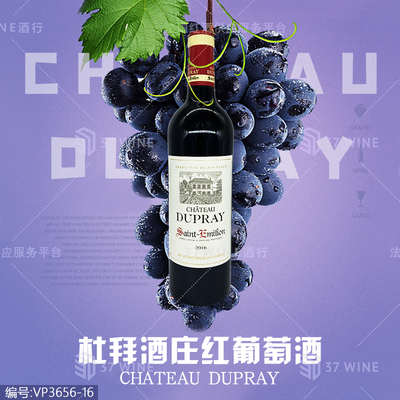 杜拜酒庄红葡萄酒 CHATEAU DUPRAY