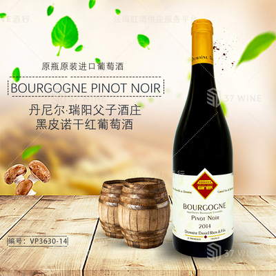 丹尼尔瑞阳父子酒庄黑皮诺干红葡萄酒 BOURGOGNE PINOT NOIR