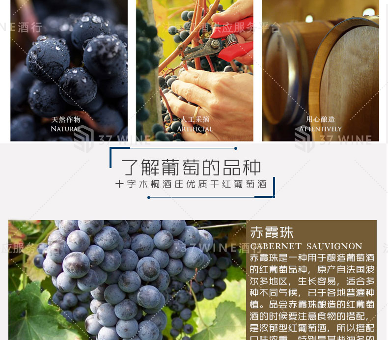 3481-14详情页切片1_07.jpg